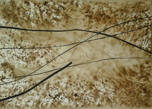 ACUARELA SOBRE PAPEL